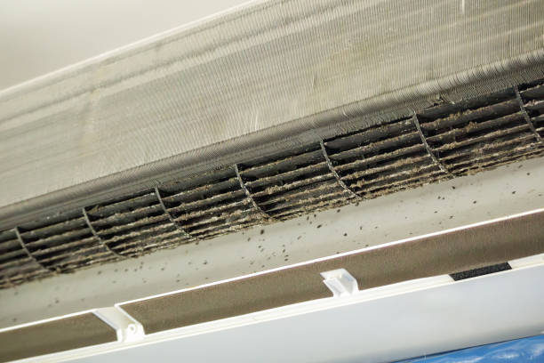 Best Professional Duct Cleaning Services  in Aliquip, PA